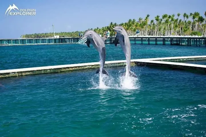 Punta Cana Sol Caribe Beach Pool Apartamento Punta Cana